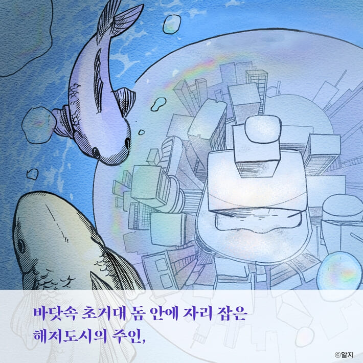 카드뉴스1