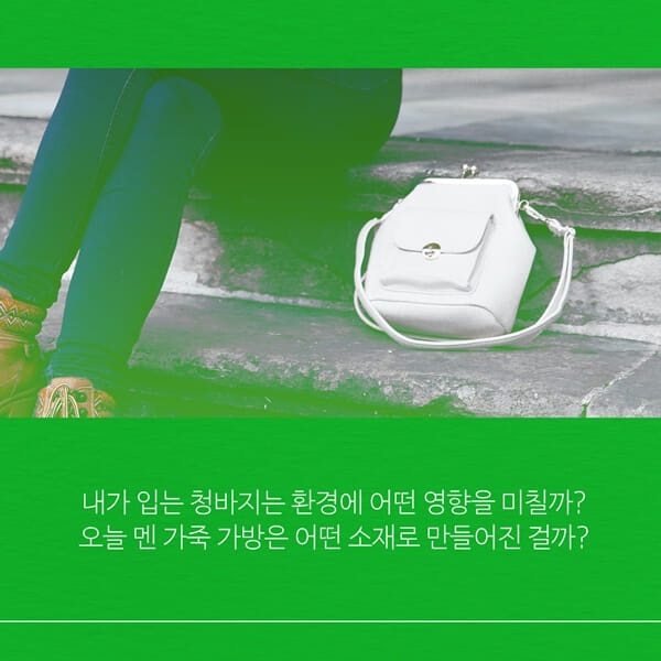 카드뉴스2