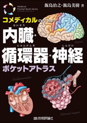 コメディカルのための內臟.循環器.神經ポケットアトラス 