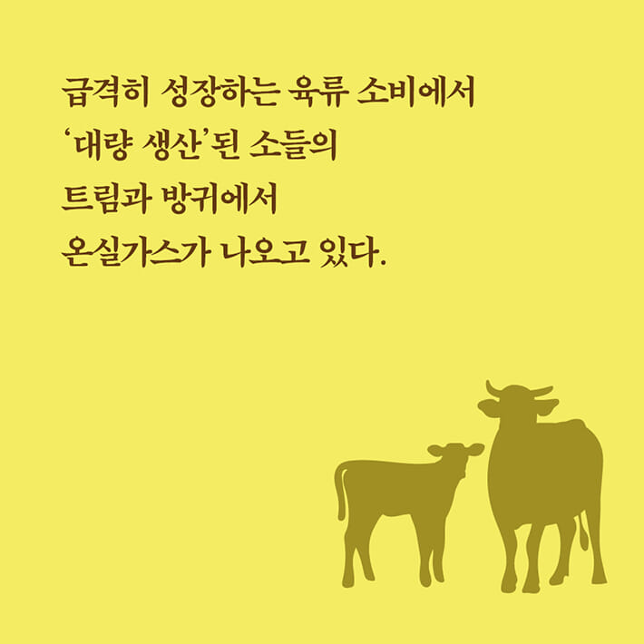 카드뉴스4