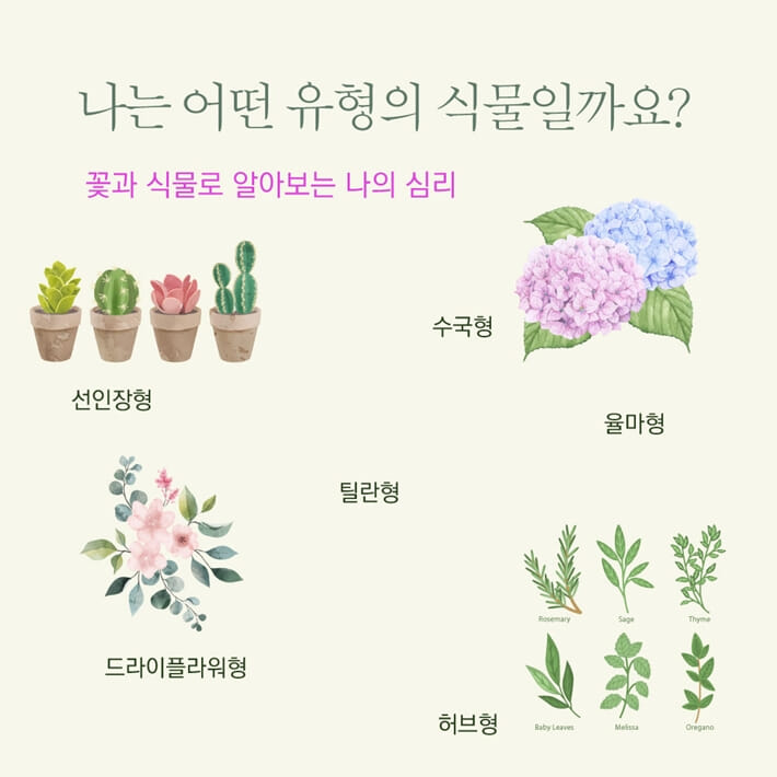 카드뉴스5
