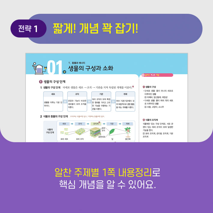 카드뉴스3
