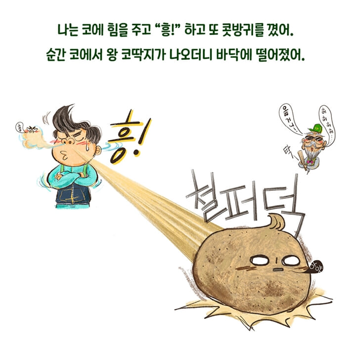 카드뉴스5