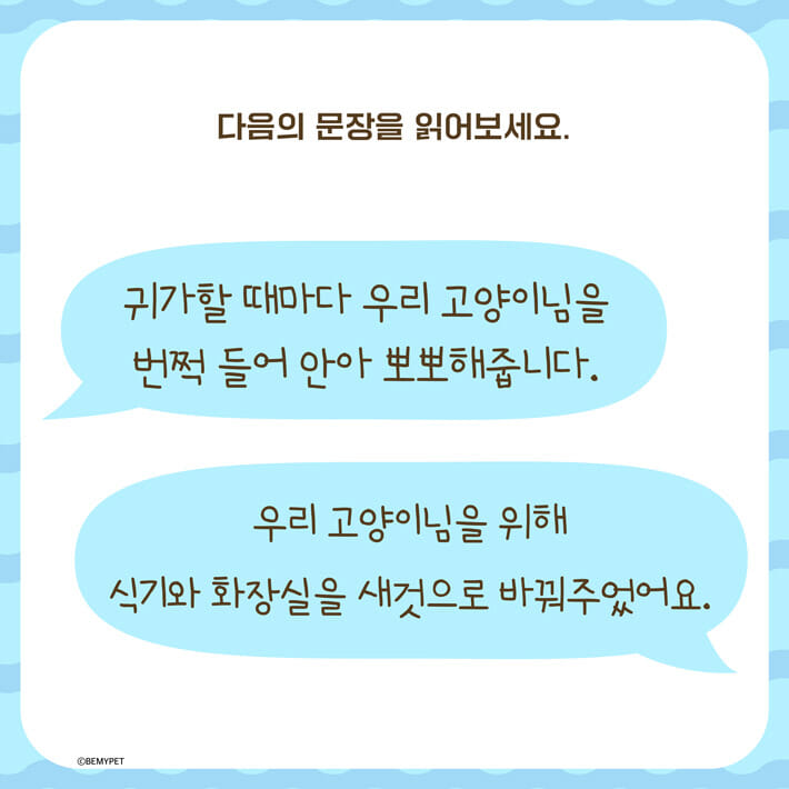 카드뉴스