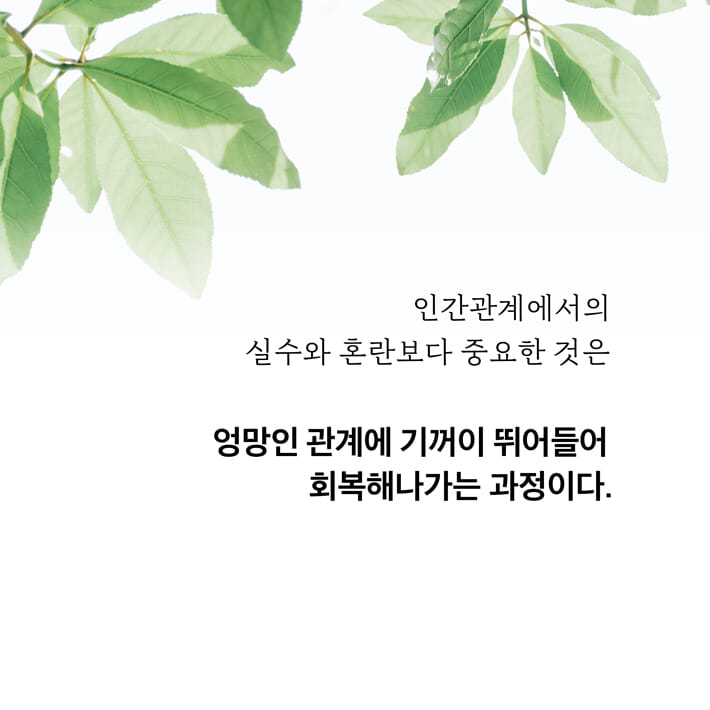 카드뉴스7