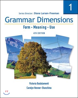 Grammar Dimensions 1: Form, Meaning, Use (Paperback, 4)