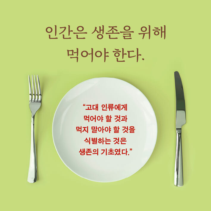 카드뉴스