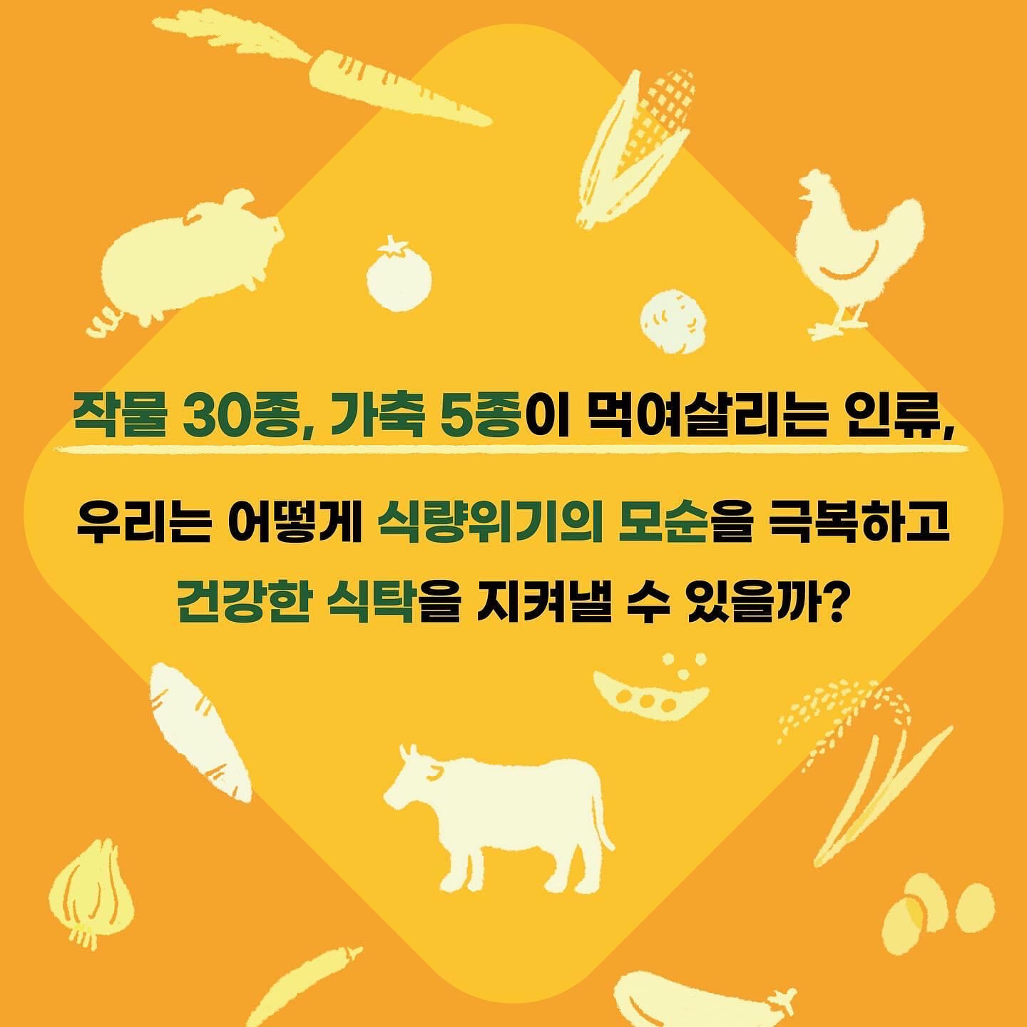 카드뉴스5