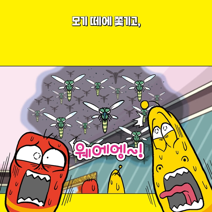카드뉴스6