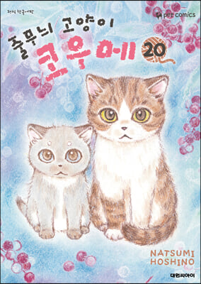 줄무늬 고양이 코우메 20