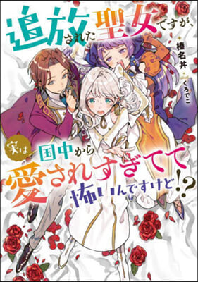 追放された聖女ですが,實は國中から愛されすぎてて怖いんですけど!?