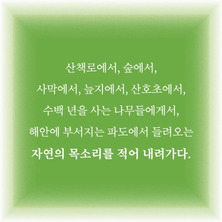 카드뉴스3