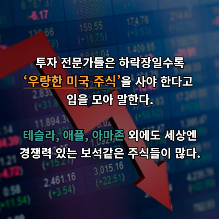 카드뉴스5