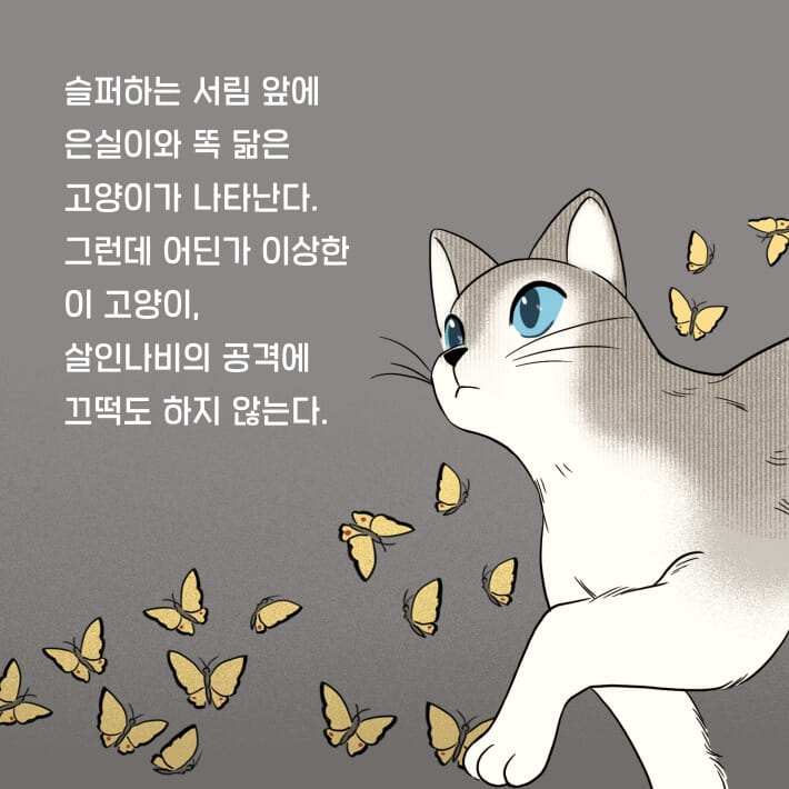 카드뉴스3