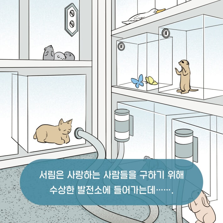 카드뉴스4