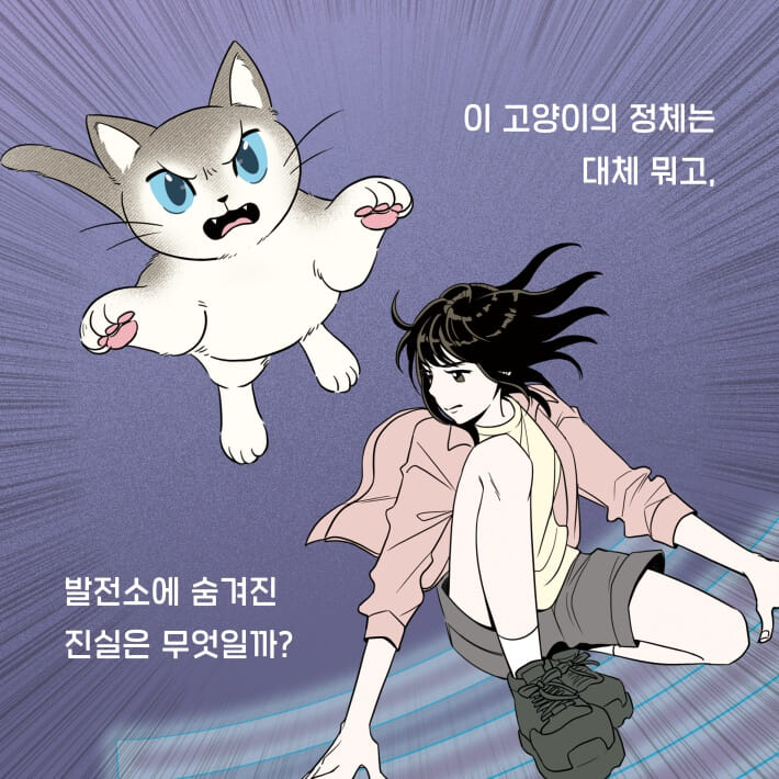 카드뉴스5