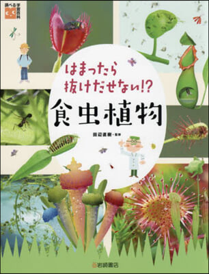 はまったら拔けだせない!? 食蟲植物