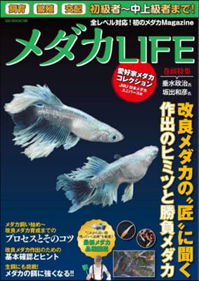 メダカLIFE