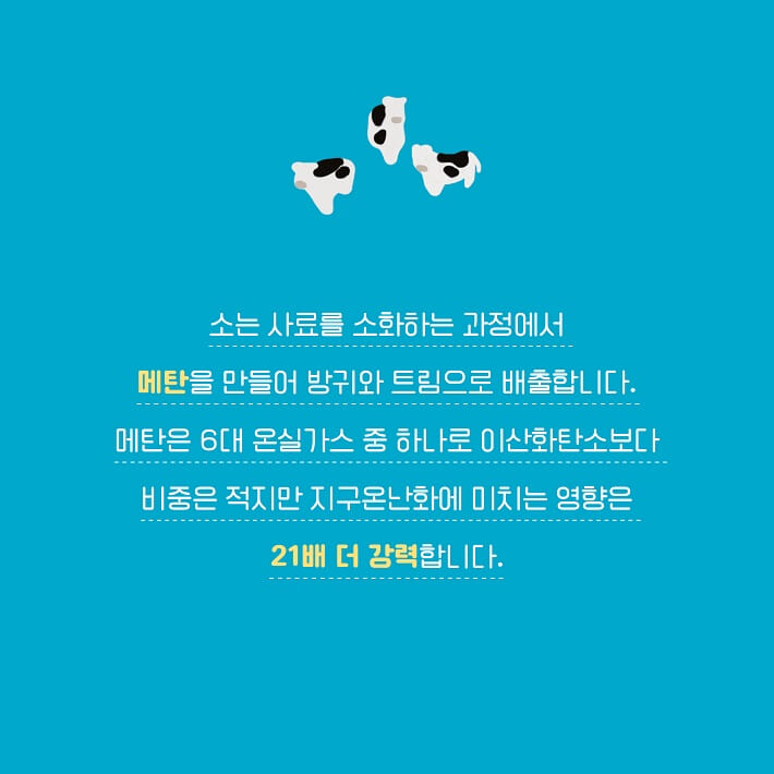 카드뉴스16
