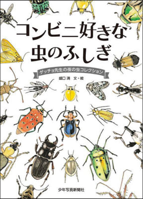 コンビニ好きな蟲のふしぎ  