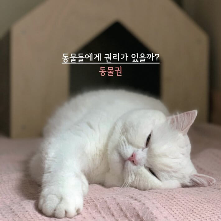 카드뉴스1