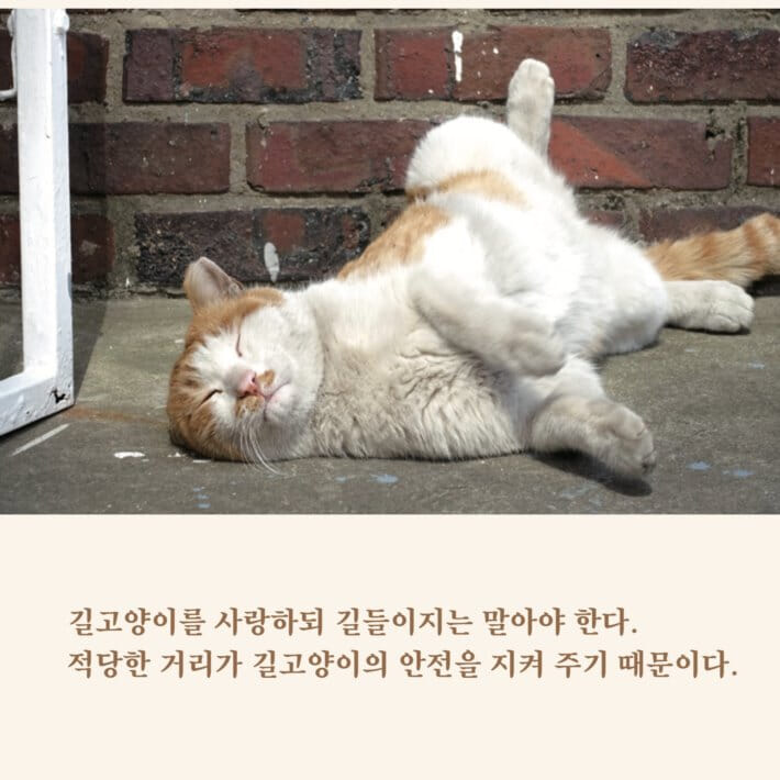 카드뉴스2