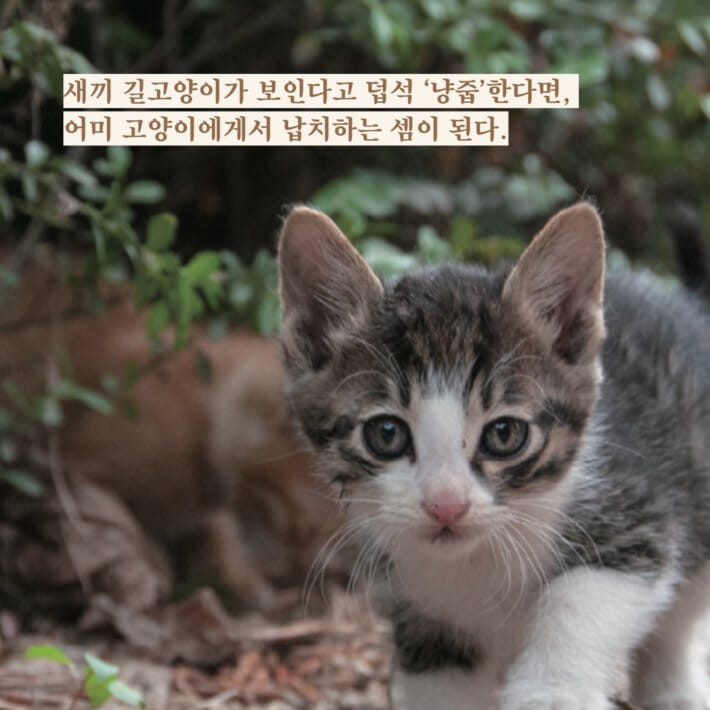 카드뉴스3