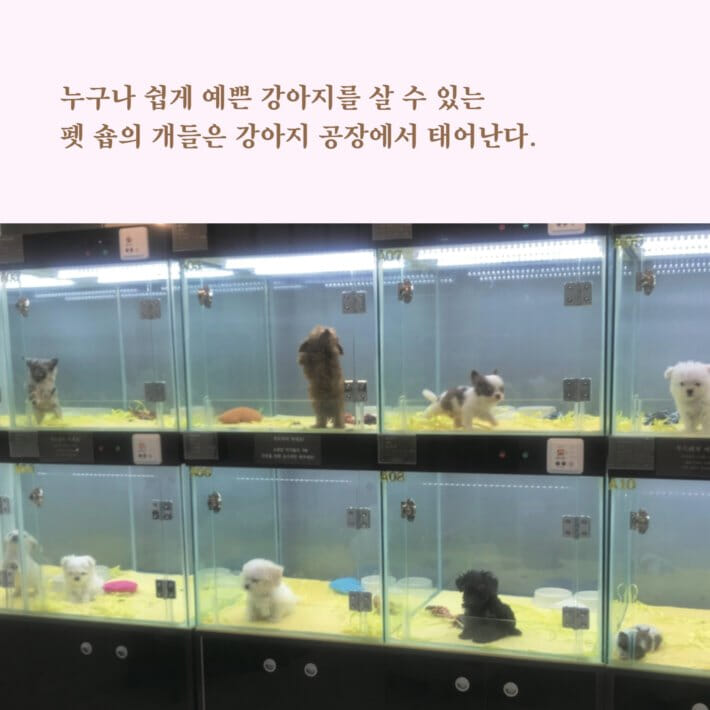 카드뉴스4