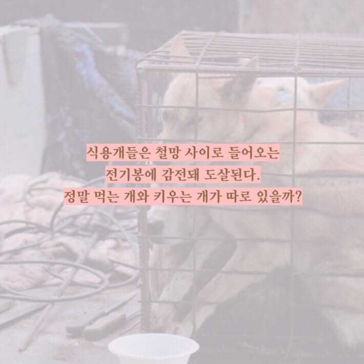 카드뉴스6