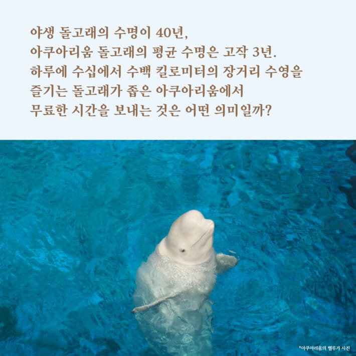 카드뉴스7