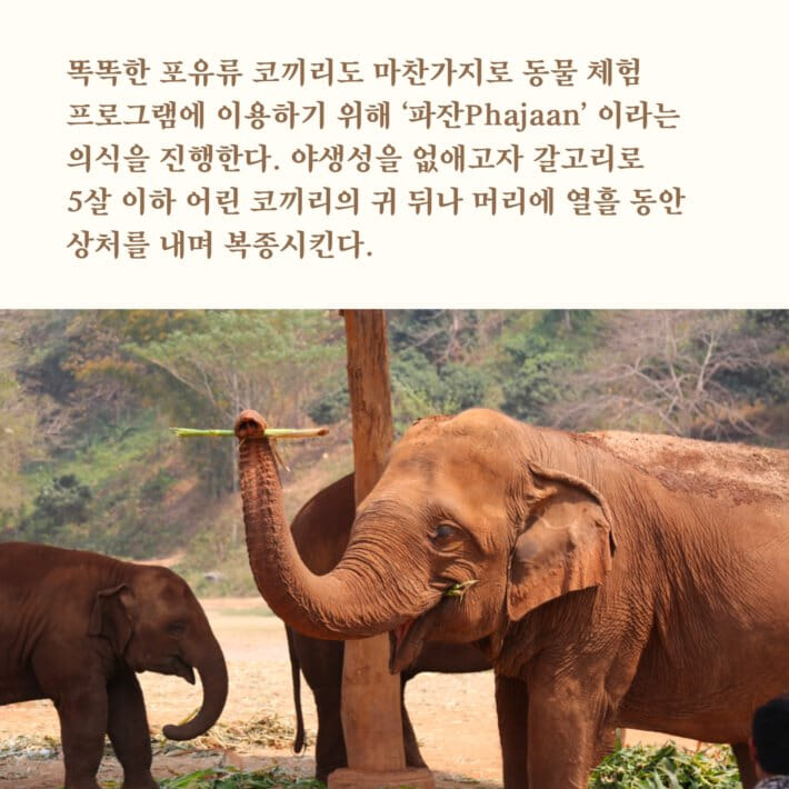 카드뉴스8