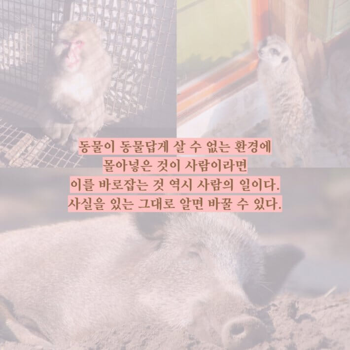 카드뉴스9