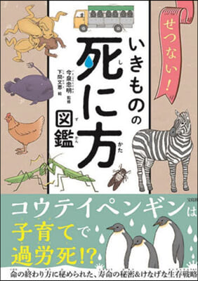 せつない!いきものの死に方圖鑑