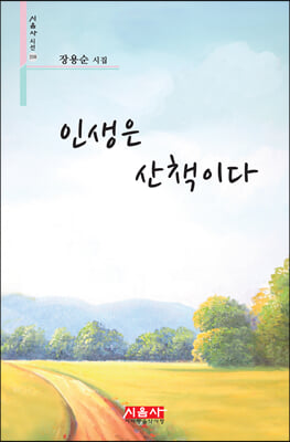 인생은 산책이다(시음사 시선 358)