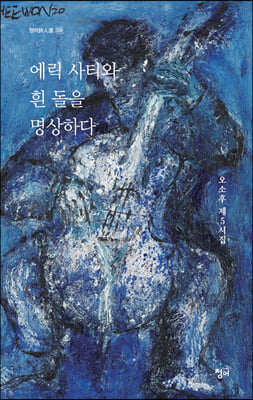 에릭 사티와 흰 돌을 명상하다(청어시인선 339)