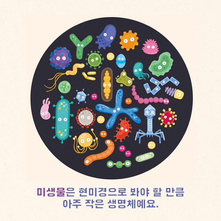 카드뉴스1
