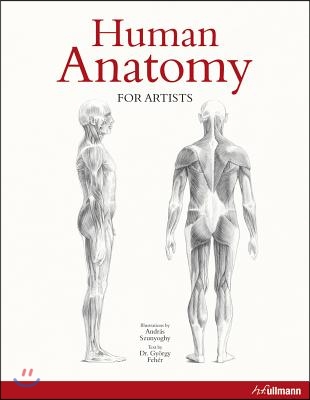 Human Anatomy for Artists