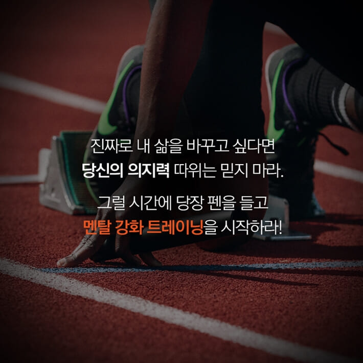 카드뉴스11