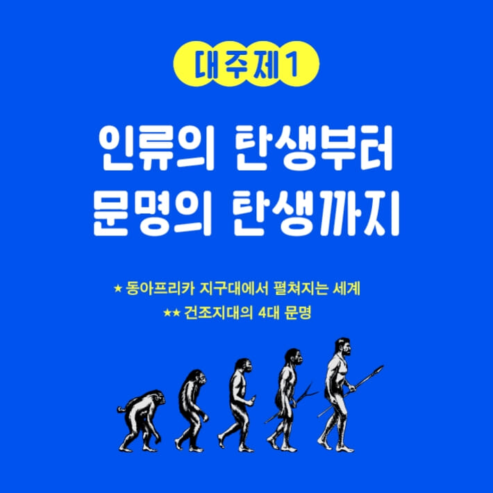 카드뉴스