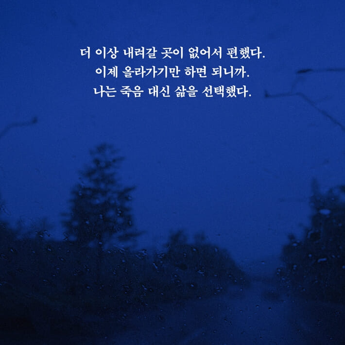 위라클 WERACLE - 예스24