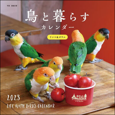 鳥と暮らすインコ&オウム 2023年カレンダ-  