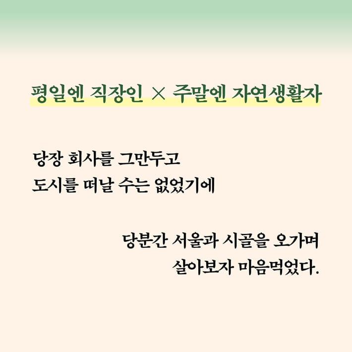 카드뉴스3