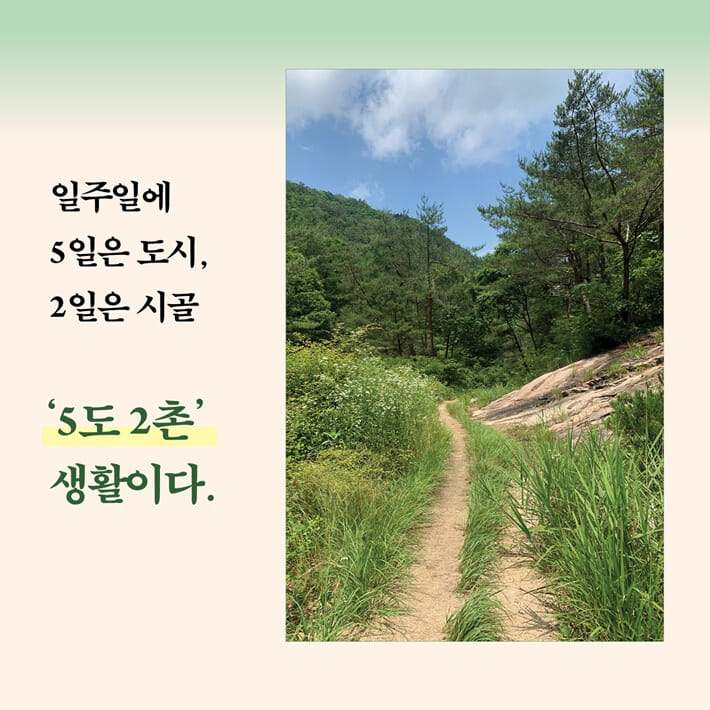 카드뉴스4