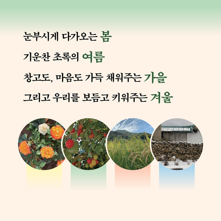 카드뉴스7