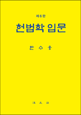 헌법학입문 