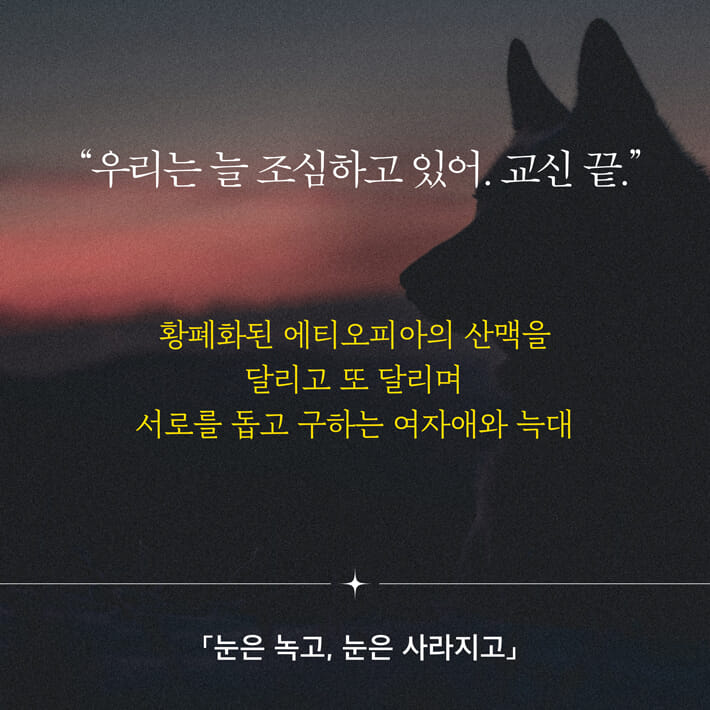 카드뉴스2