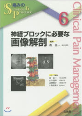 神經ブロックに必要な畵像解剖