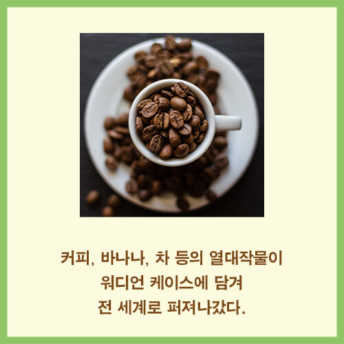 카드뉴스