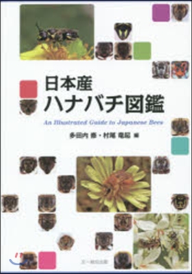 日本産ハナバチ圖鑑