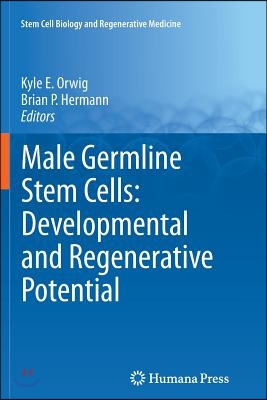 Male Germline Stem Cells: Developmental and Regenerative Potential